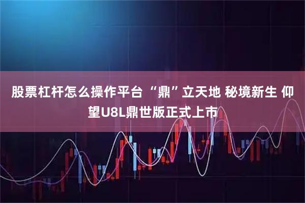 股票杠杆怎么操作平台 “鼎”立天地 秘境新生 仰望U8L鼎世版正式上市