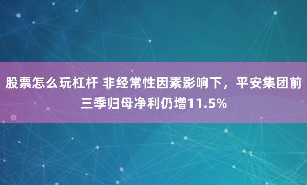 股票怎么玩杠杆 非经常性因素影响下，平安集团前三季归母净利仍增11.5%