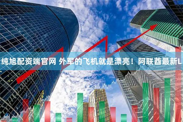 纯旭配资端官网 外军的飞机就是漂亮！阿联酋最新L