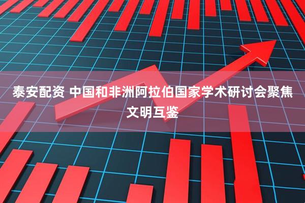 泰安配资 中国和非洲阿拉伯国家学术研讨会聚焦文明互鉴