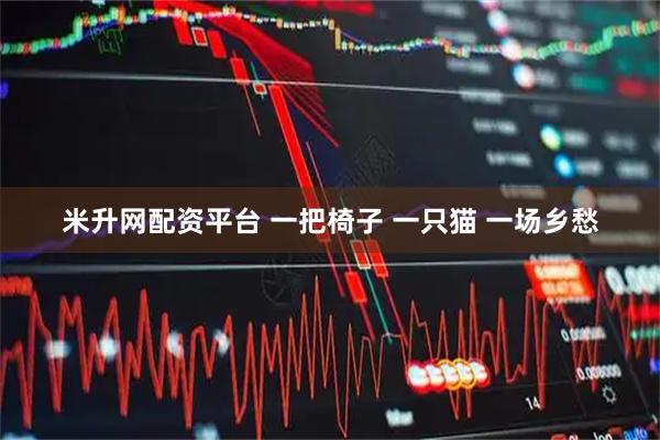 米升网配资平台 一把椅子 一只猫 一场乡愁