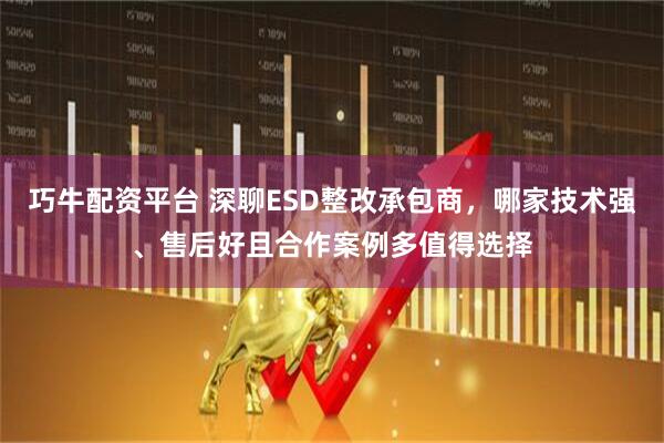 巧牛配资平台 深聊ESD整改承包商，哪家技术强、售后好且合作案例多值得选择